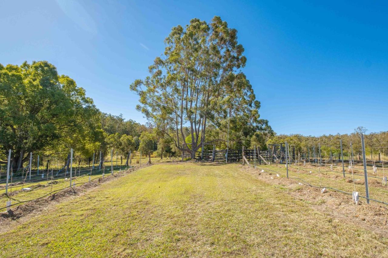 Widgereedoo Farm. Vineyard Views. Peaceful Retreat. Tamaree Exterior foto